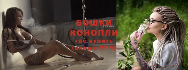 дурь Лагань
