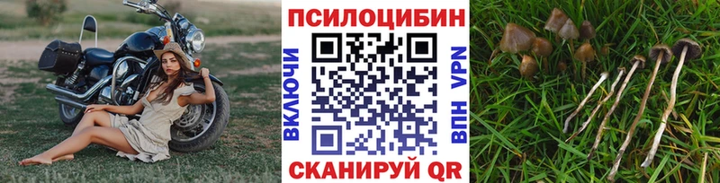 Галлюциногенные грибы прущие грибы  Буй 